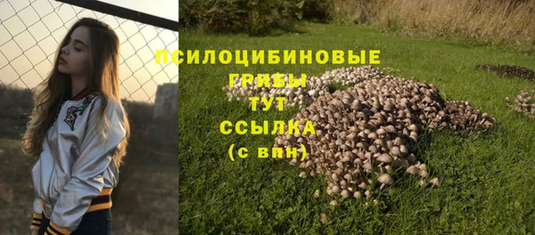 гидра Балабаново