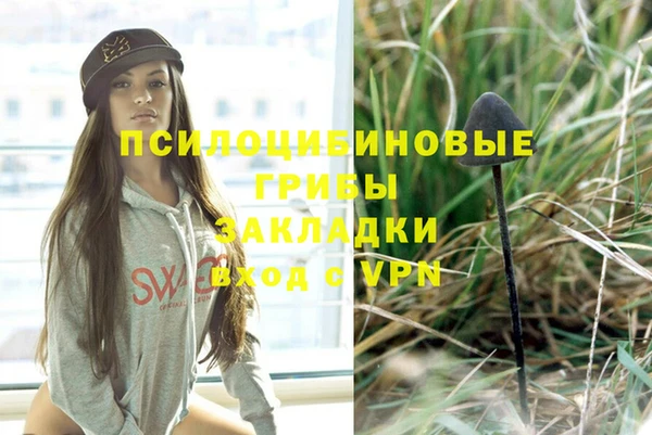 стафф Балахна
